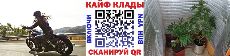 Наркошоп купить A-PVP  МЕФ  Конопля  КОКАИН  Высоцк