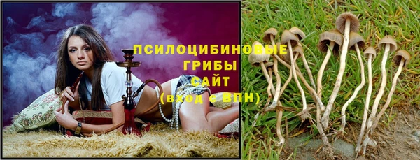 эйфоретик Тавда