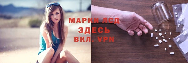 СК Сясьстрой