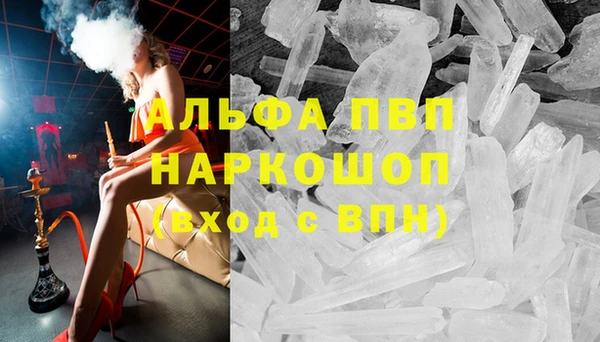 эйфоретик Тавда