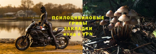 эйфоретик Тавда